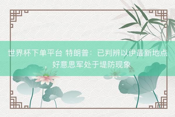 世界杯下單平臺 特朗普：已判辨以伊最新地點，好意思軍處于堤防現象